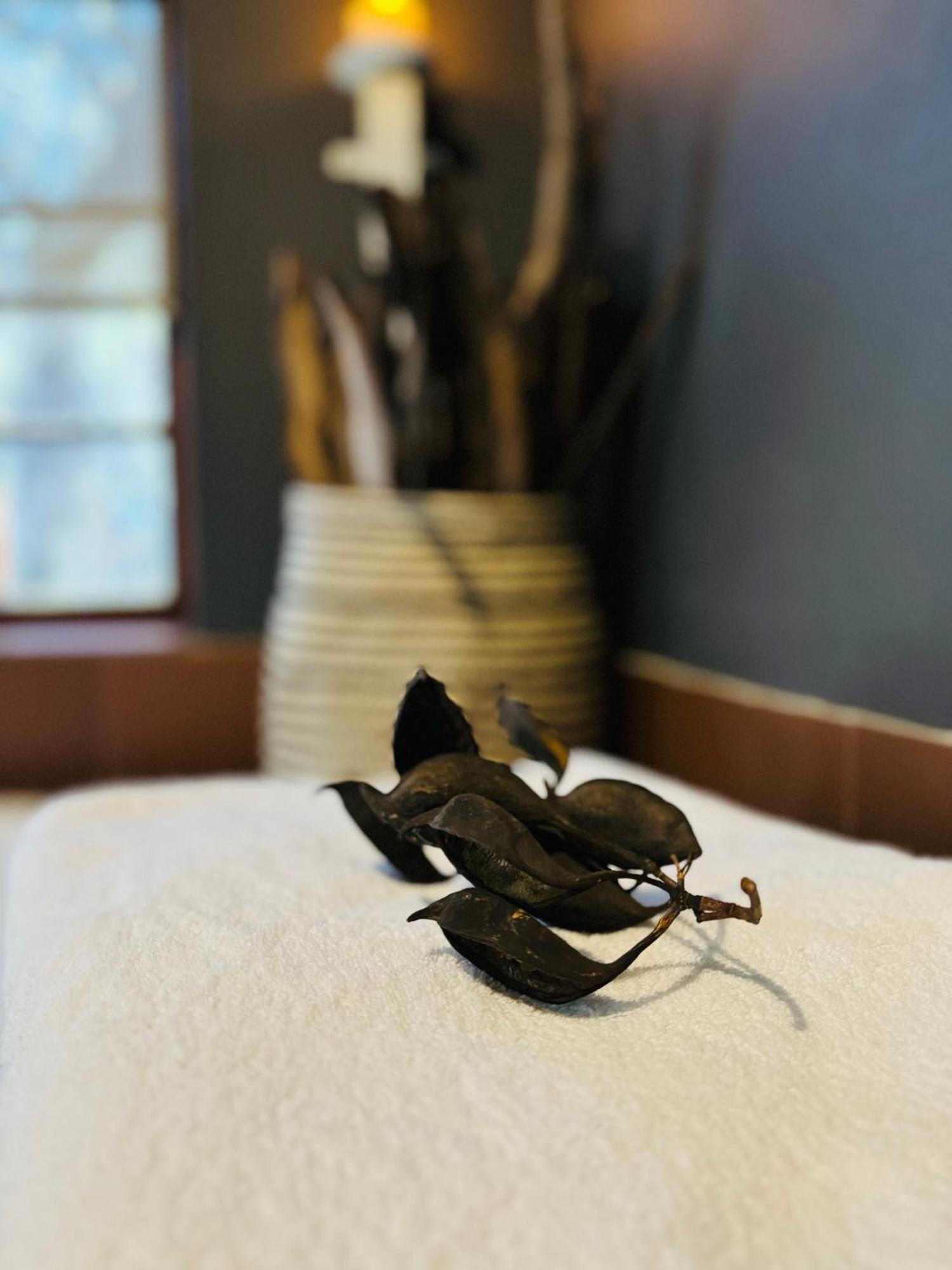 Megumi - Vaal Riverside Retreat - Loadshedding Friendly 帕雷斯 外观 照片